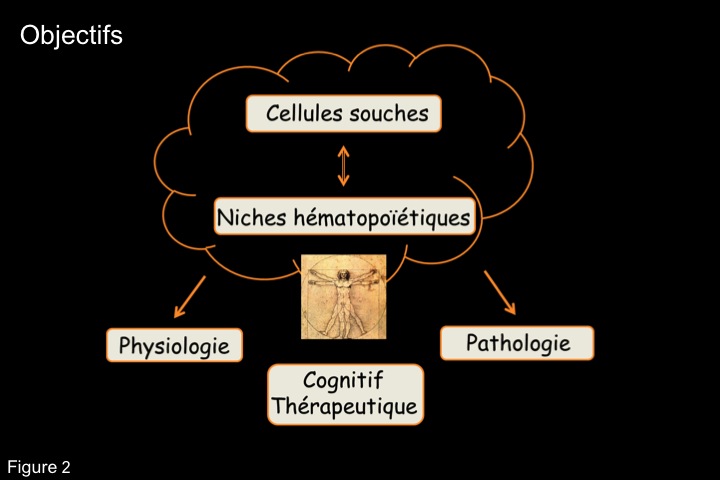 Fig2 Objecifs